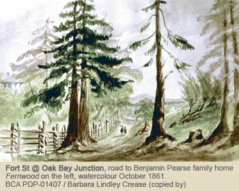 Fort St at Oak Bay Junction