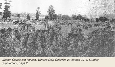 Watson Clark's last harvest