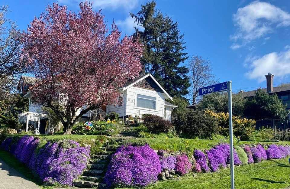 1128 Topaz Av, Victoria BC